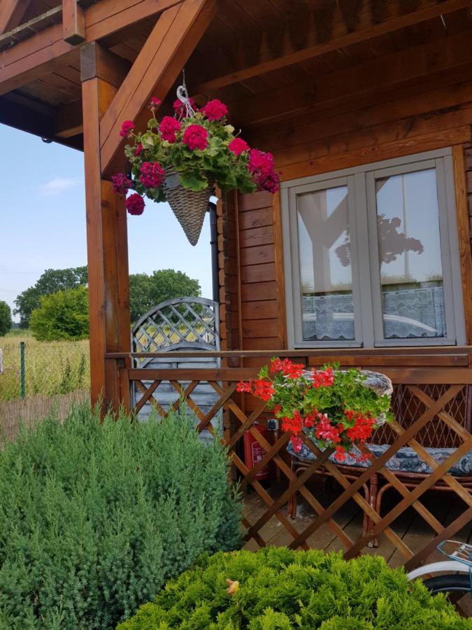 Domki Fala Family Dziwnówek Exteriör bild